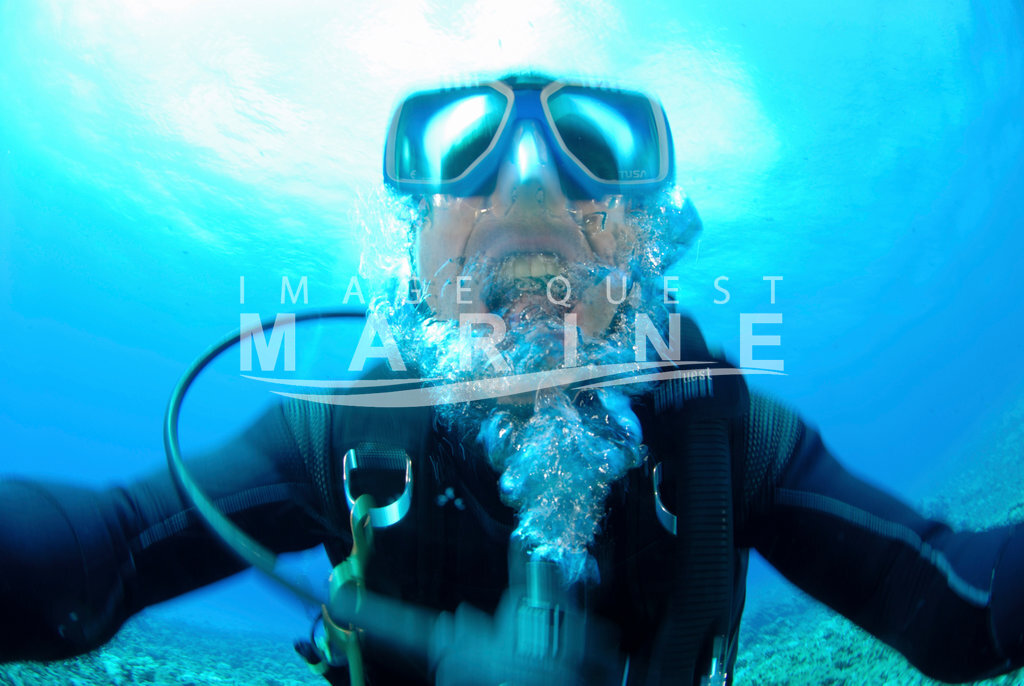 Diver panicking - Image Quest Marine